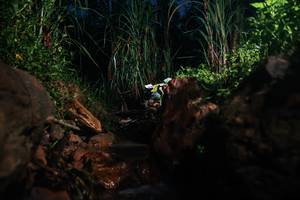 BIB: 
                            <button type="button" onclick="openModal(26416481)" class="btn btn-primary btn-sm float-right btn-popup" data-toggle="modal" data-target=".modal-high-quality">
                        <i class="fas fa-shopping-cart"></i> Add to Cart
                    </button>
                                            <button type="button" onclick="isThisMe(26416481, true)" class="btn btn-success btn-sm float-right btn-popup btn-isme hidden" data-toggle="tooltip" data-placement="bottom" title="นี่คือรูปของคุณใช่ไหม คลิกที่นี่เพื่อเอาเข้าอัลบั้ม">
                        <i class="fas fa-plus"></i> Add to album
                    </button>
                    <button type="button" onclick="isThisMe(26416481, false)" class="btn btn-warning btn-sm float-right btn-popup btn-isnotme hidden">
                        <i class="fas fa-ban"></i> Remove from album
                    </button>